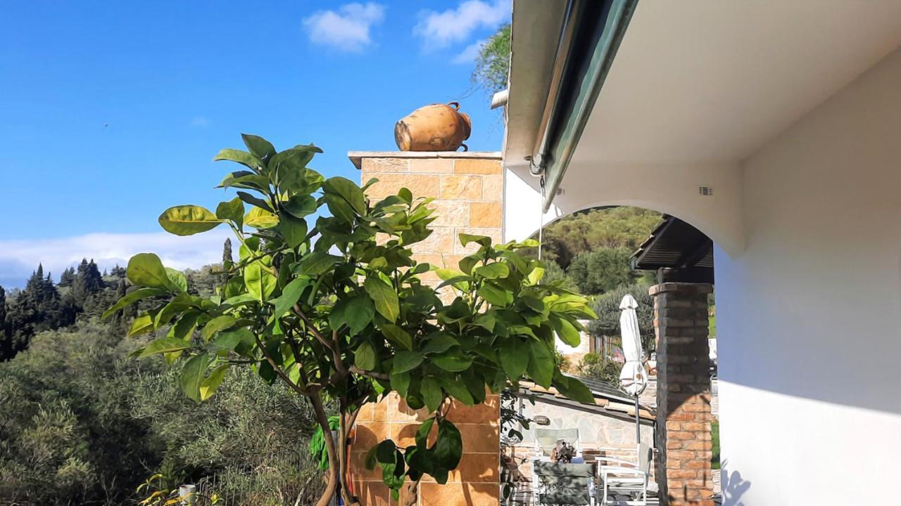 Villa Claire Corfu Achílleion Exteriör bild